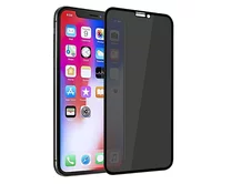 Защ. стекло iPhone 12 mini Full приватное черное