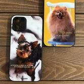 Чехол iPhone 12 KSTATI Glass DOG